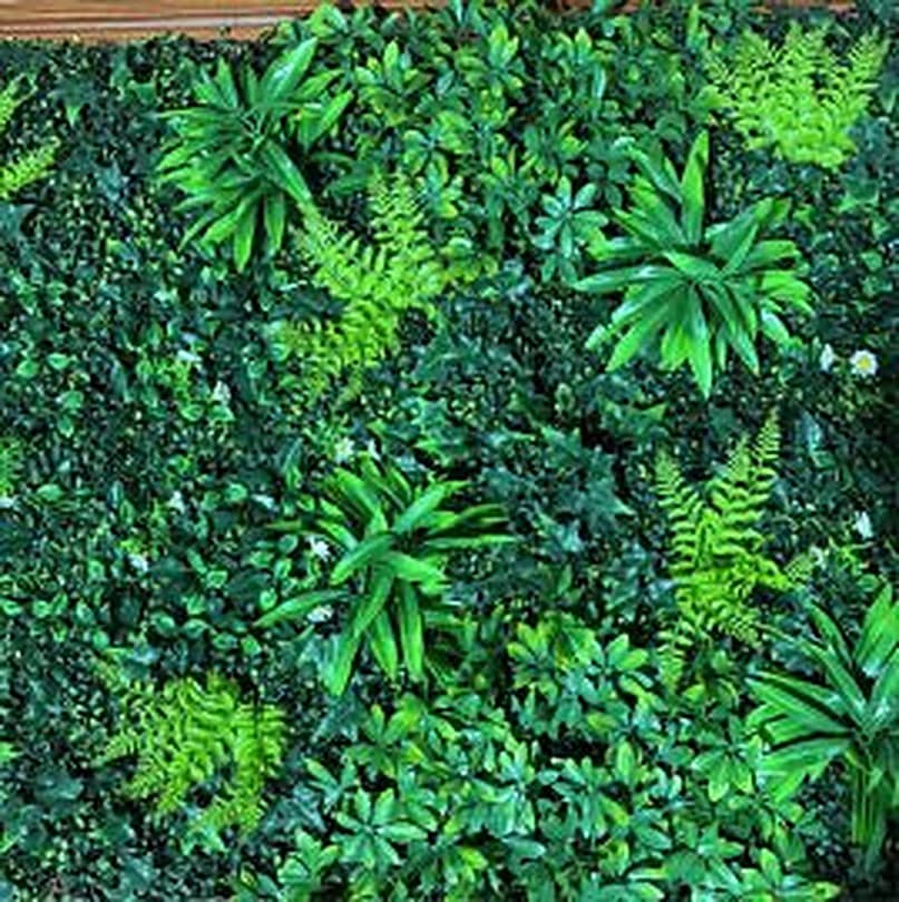 Jardín Tropical Frondoso