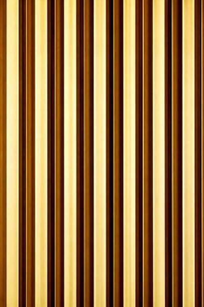Listón Exterior Dorado