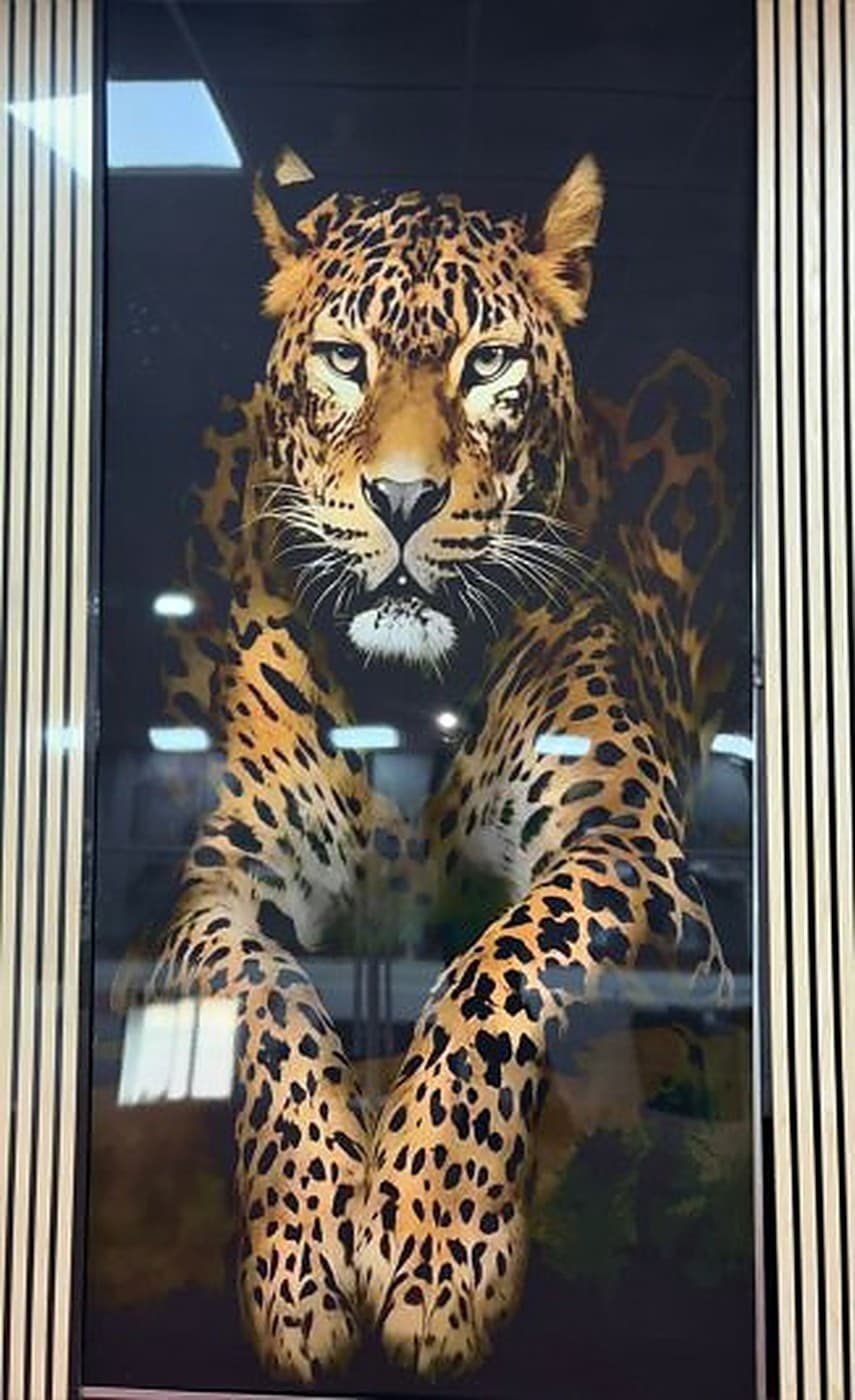 Placa Artística Tigre